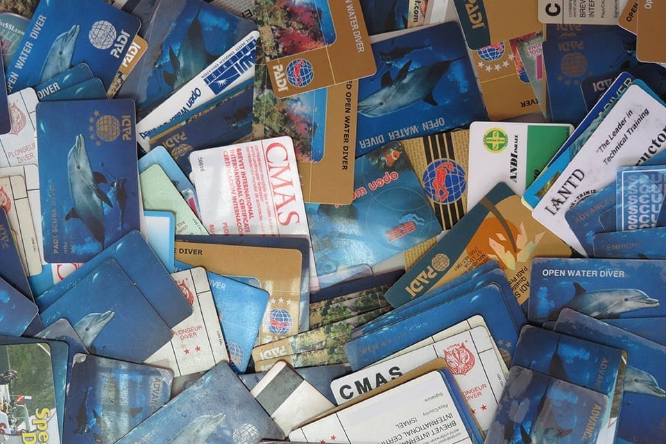 רישיונות-צלילה-ממגוון-ארגונים רישיונות-צלילה-ממגוון-ארגונים