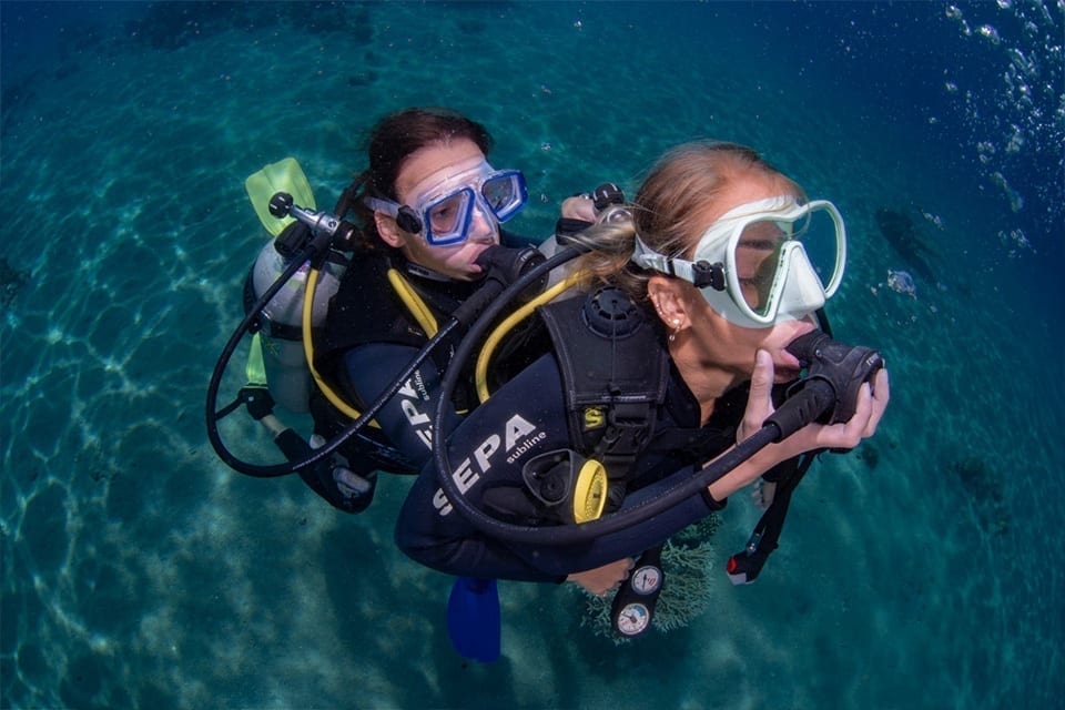 התמחות-הצלה התמחות-הצלה